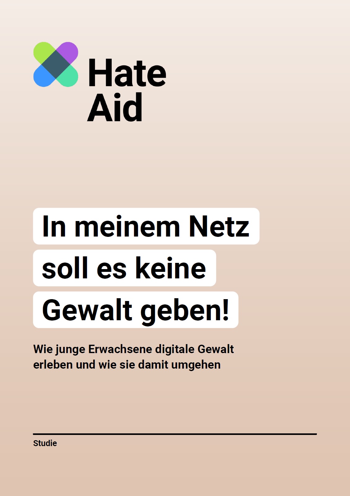 Der Hintergrund des Bildes ist braun. Darauf ist das Logo und der Schriftzug von HateAid abgebildet. Darunter steht, In meinem Netz soll es keine Gewalt geben! Wie junge Erwachsene digitale Gewalt erleben und wie sie damit umgehen.