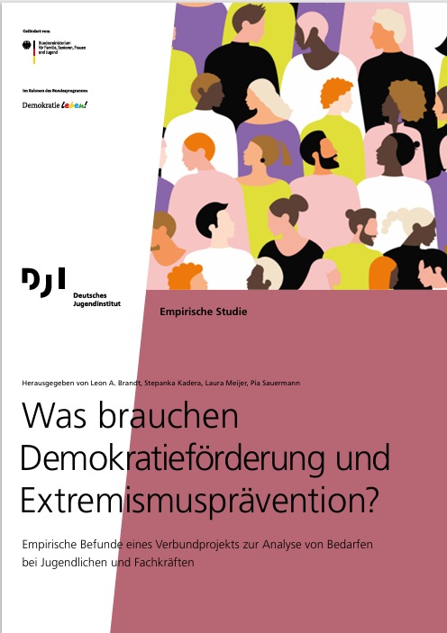 Das Bild ist der Länge nach zu einem Drittel weiß und die anderen. Oben rechts ist ein buntes, stilisiertes Bild von einer Menschenmenge. Unten steht die Überschrift: Was brauchen Demokratieförderung und Extremimusprävention?